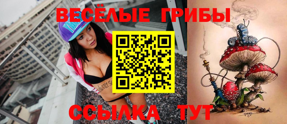 Галлюциногенные грибы Psilocybine cubensis Орехово-Зуево