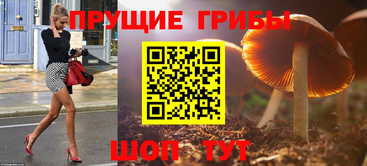 Псилоцибиновые грибы мухоморы  Вход с VPN  Орехово-Зуево 